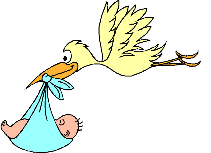 Stork brings a baby.