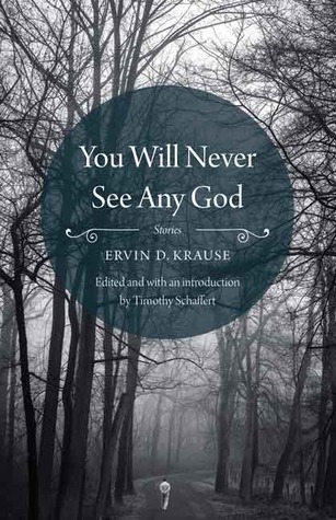 You Will Never See Any God by Ervin D. Krause